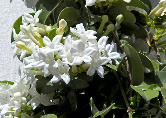 H10 Ocean Dunas - Adults Only Corralejo